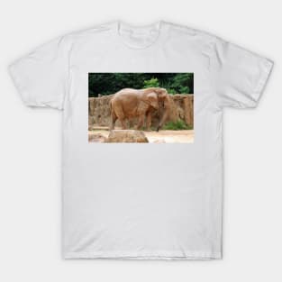 African Elephant T-Shirt